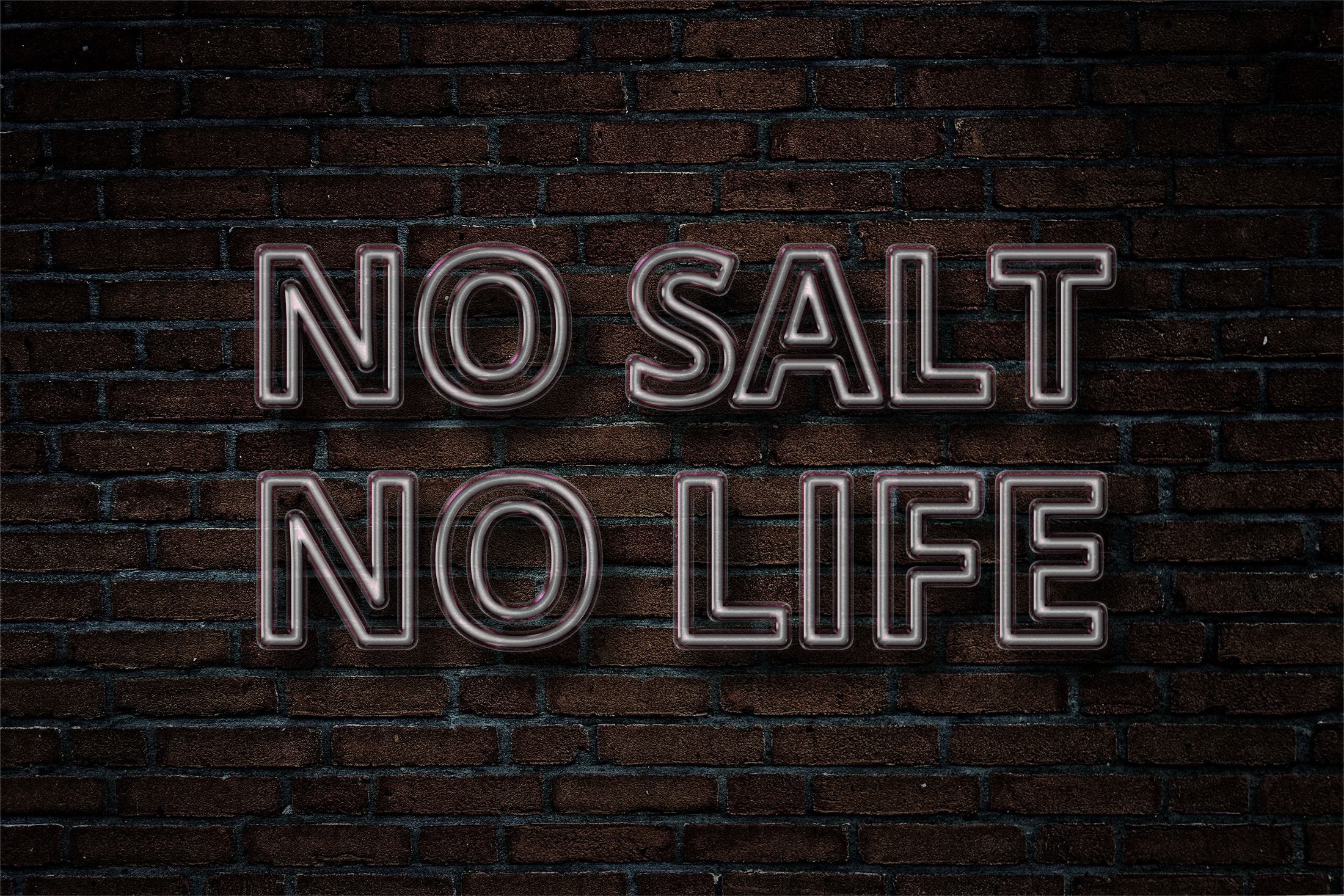 Neon No Salt No Life text on a brick wall