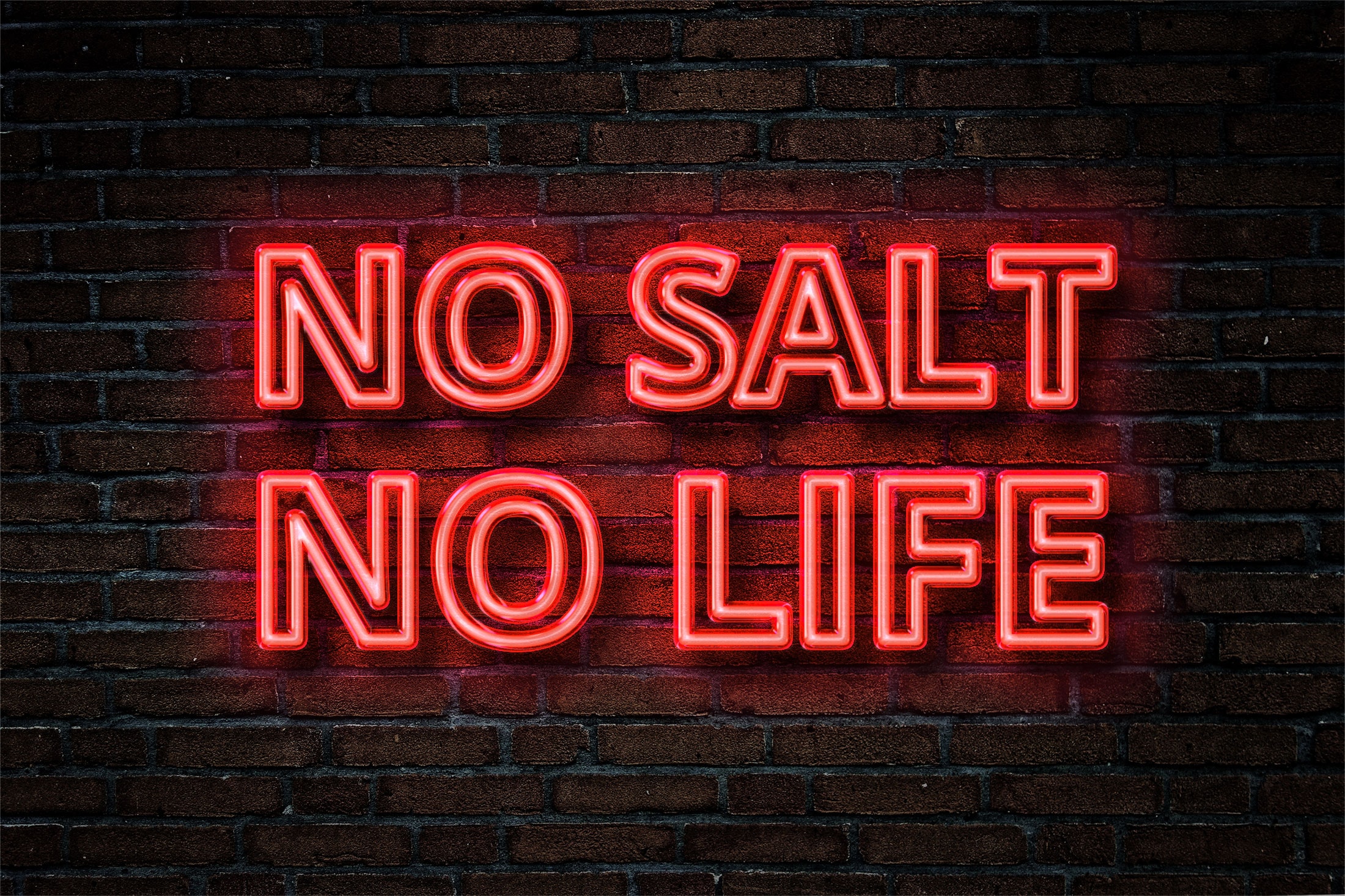 Neon No Salt No Life text on a brick wall