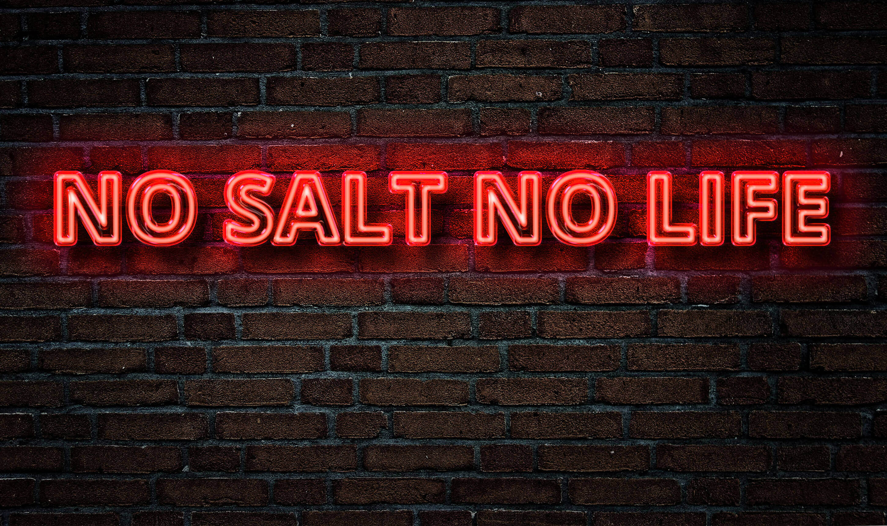Neon No Salt No Life text on a brick wall